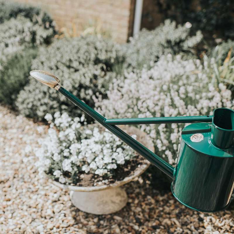 Haws The Warley Fall 9 L grøn